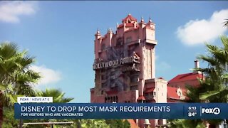Masks optional at Disney