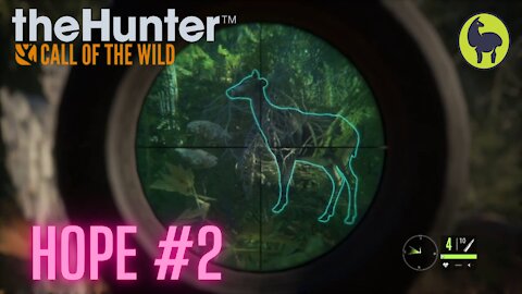 The Hunter: Call of the Wild, Hope #2