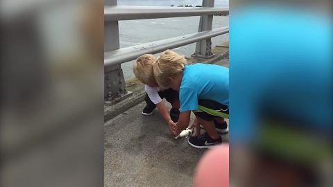 Tot Boy Returns A Fish Into The Water