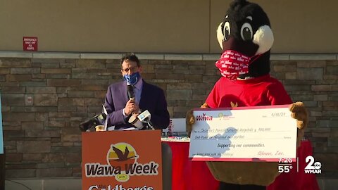Wawa turns 57 and celebrates with new hoagie, donation