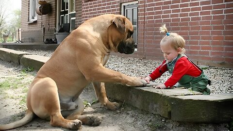 When Your Dog Is The Most Patient Big Brother 🥰❤️