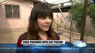 Dogs poisoned with rat poison on northwest side