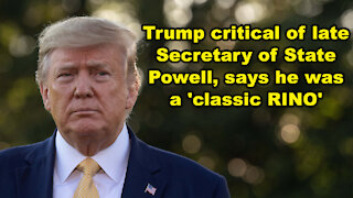 Trump critical of late Secretary of State Powell, says he was a 'classic RINO' - Just the News Now