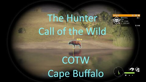 The Hunter Call of the Wild Hunting For Diamonds Vurhonga Savanna Cape Buffalo E1