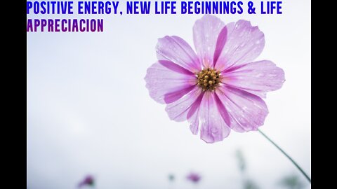 Positive Energy | New Life Beginnings & Life Appreciacion | Relaxing Music