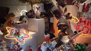 Cat Lovers Or Not, You’ll Enjoy This Beautiful EPIC Christmas Video