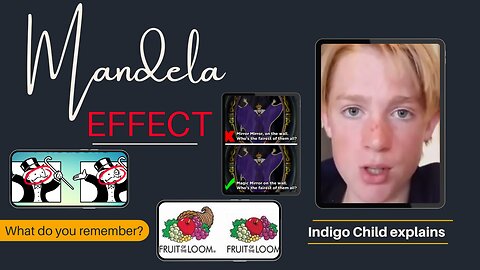 The Mandela Effect - Indigo Child Explains