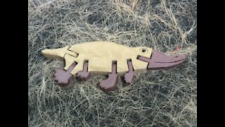 3D Printed Patrick the Platypus