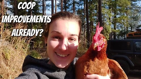 We Made A Mistake | Changing The Chicken Coop | Building A Poop Deck