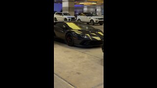 Lamborghini At Seminole Hard Rock Casino In Tampa, FL #Lamborghini #4K #HDR #DolbyVision