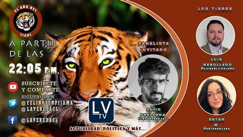"El Año del Tigre" Ep. 13 Actualidad, Contingencia e Irreverencia Salvaje. / con David Orellana