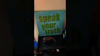 I'm Selling My 'Speak Your Truth' Sign #Shorts