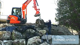 Ecopond update - tree clearing, stream work, driftwood waterfall, retaining wall