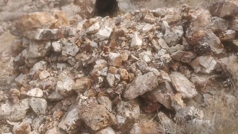 High Grade Gold in Quartz ore