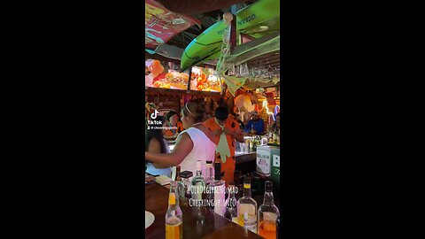 Best Bars and Restaurants San Pedro : Sandy Toes Beach Bar & Grill