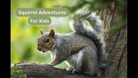 "Squirrel Spectacle - Kid-Friendly Entertainment"