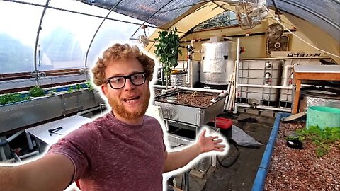 How the water flows through my aquaponics system - [the plumbing on my aquaponics system]