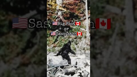 The Big Foot Legend #shorts #fyp #scary #bigfoot #creepy #fypシ #trending