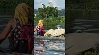 Veggies by Boat #shorts #food #water #gulay #bangkalan #foodshorts