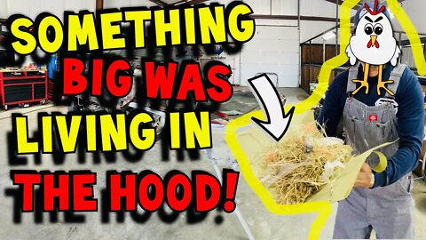 Project Ford F-150 continues! What was living inside of the hood?