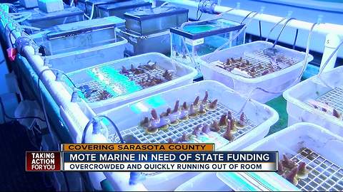 Mote Marine Aquarium in need of state funding