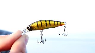 Micro Lure Fishing for Crappie in Shallow Water (Jerkbaits for Panfish)