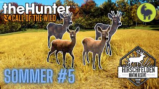 Sommer #5 Hirschfelden | theHunter: Call of the Wild (PS5 4K)