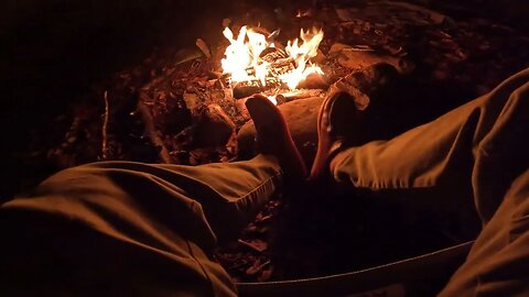 Winter camping with dogs during the Polar Apocalypse hoping for snow. German Shepard Dogs.