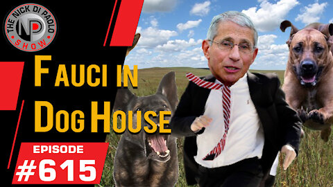 Fauci in Dog House | Nick Di Paolo Show #615