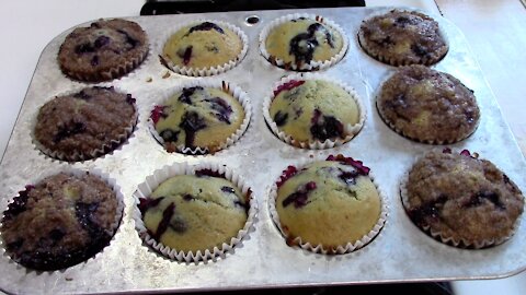 20210116 Through 20210131 Vlogs Made Muffins