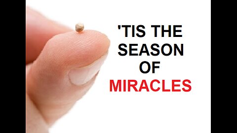 'TIS THE SEASON OF MIRACLES