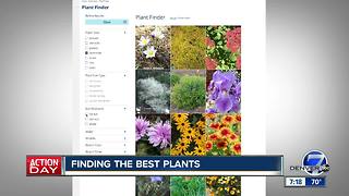 Finding the best plants