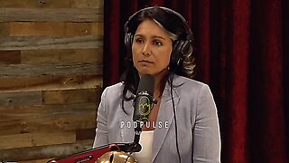 We Are Turning Into A Banana Republic ~ Tulsi Gabbard