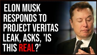 Elon Musk Responds To Project Veritas Report On Twitter Bias