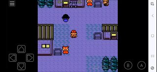 A Duck comes bearing Green Onions in Pokémon Silver (Part 9)