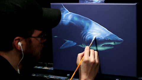 Acrylic Wildlife Painting of a Lurking Shark - Time Lapse - Artist Timothy Stanford
