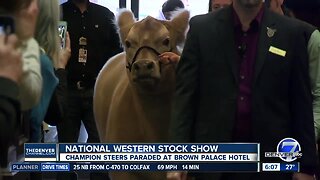 Steers will walk red carpet at Brown Palace