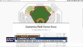 Finding the best seats to catch a home run ball at Comerica Park