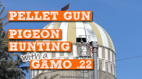 S2:E7 Pellet Gun Pigeon Hunting Saga with GAMO .22 | Kids Outdoors