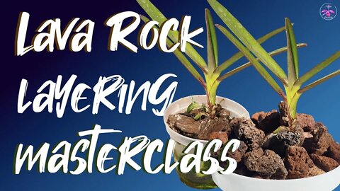 How to layer Lava Rock as substitute for Bark & get the same grow effect as with Bark #ninjaorchids