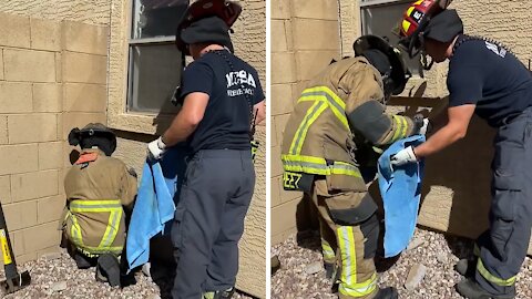 Firefighters Rescue Cat Stuck In A Cinder Block Wall