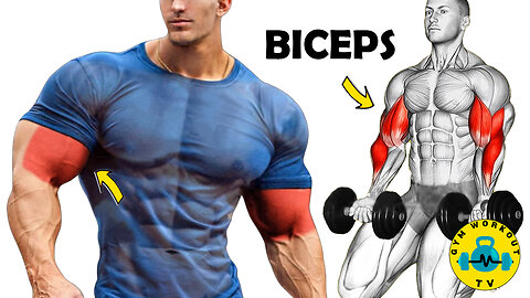6 Exercises for Wider Biceps | Biceps Workout at Gym