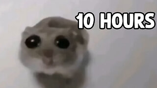 Sad Hamster Violin Meme in the Rain 10 Hours