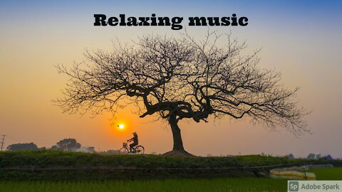 1 Hour of Relaxing music for stress relief, yoga, study, sleeping aid and meditation.