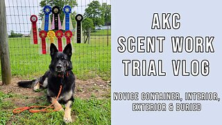 AKC Scent Work Trial - Novice Container, Interior, Exterior and Buried