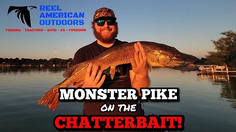 Monster Pike! (CHATTERBAIT FISHING)