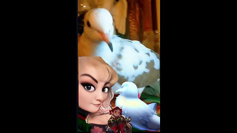 "Tanjiro Shines A Little Light"Me & Hypnotizing Mini Dove Tanjiro "💃🕊️😅💎💫✨🎶🎼 Join Me