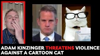 Adam Kinzinger Threatens Violence Against A Cartoon Cat