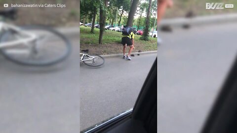 Un cycliste met une famille de hérissons en sécurité