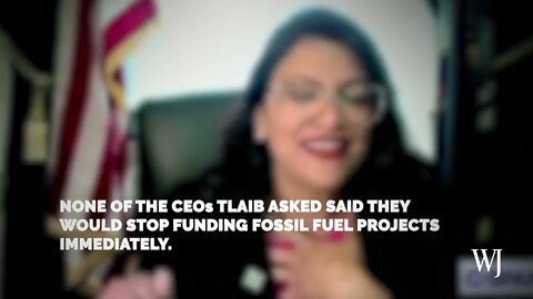 Rashida Tlaib Humiliated as Bank CEOs Describe Dem Policy as 'The Road to Hell for America'